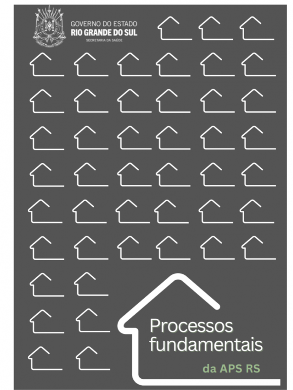 Processos Fundamentais da APS RS